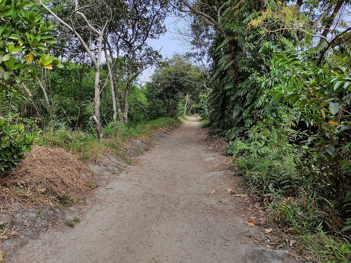Pathiramanal