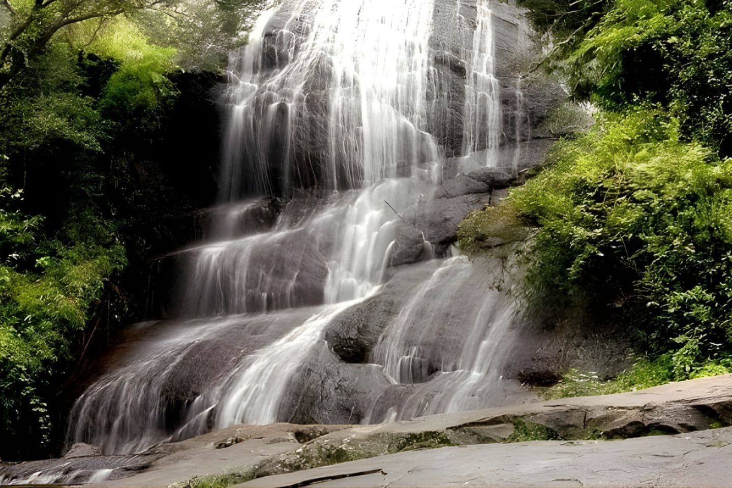 Bear Shola Falls