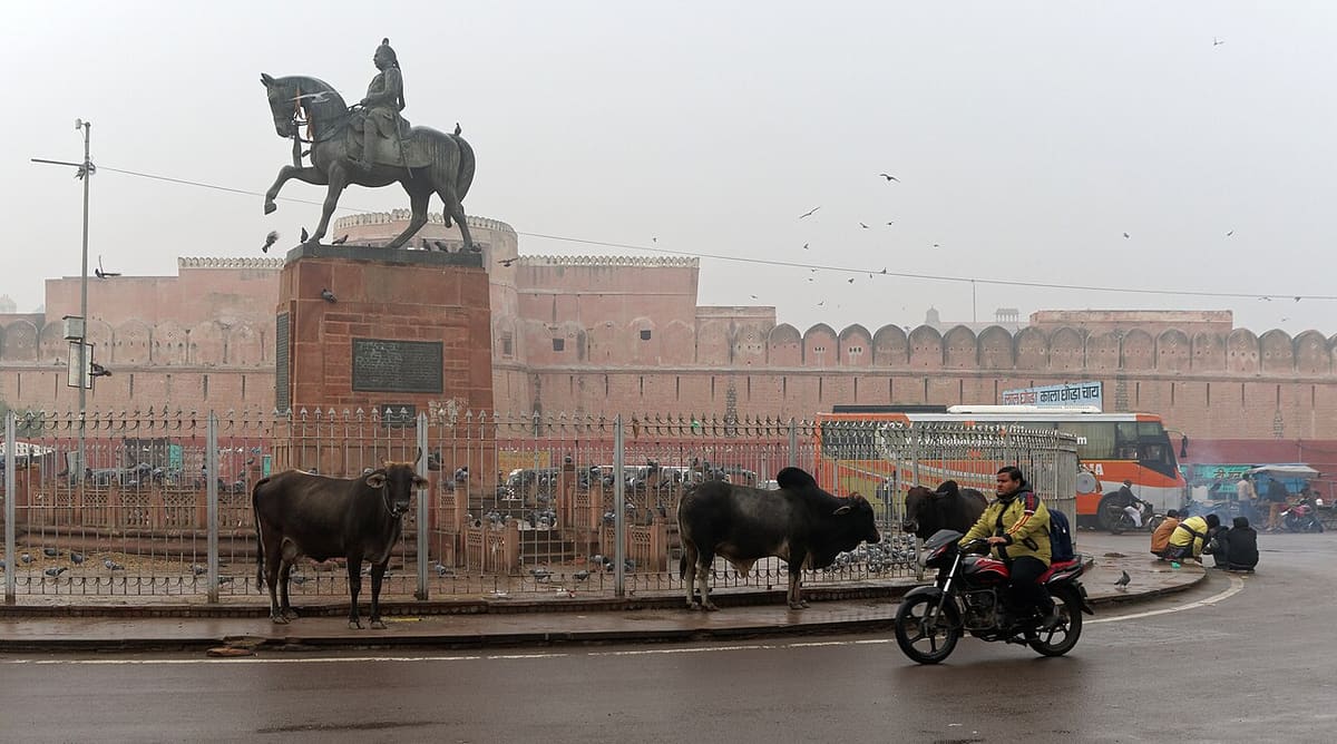 Sadul Singh Museum