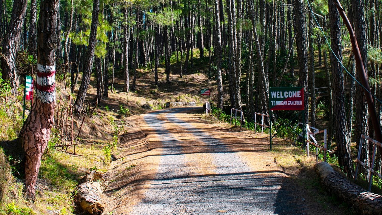 Binsar