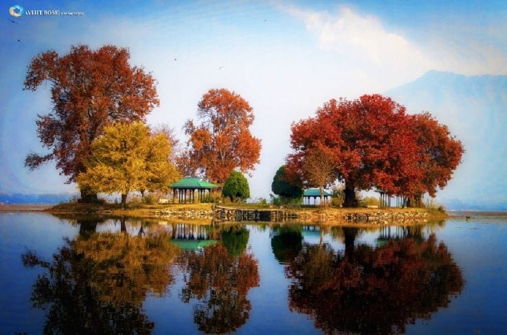 Char Chinar