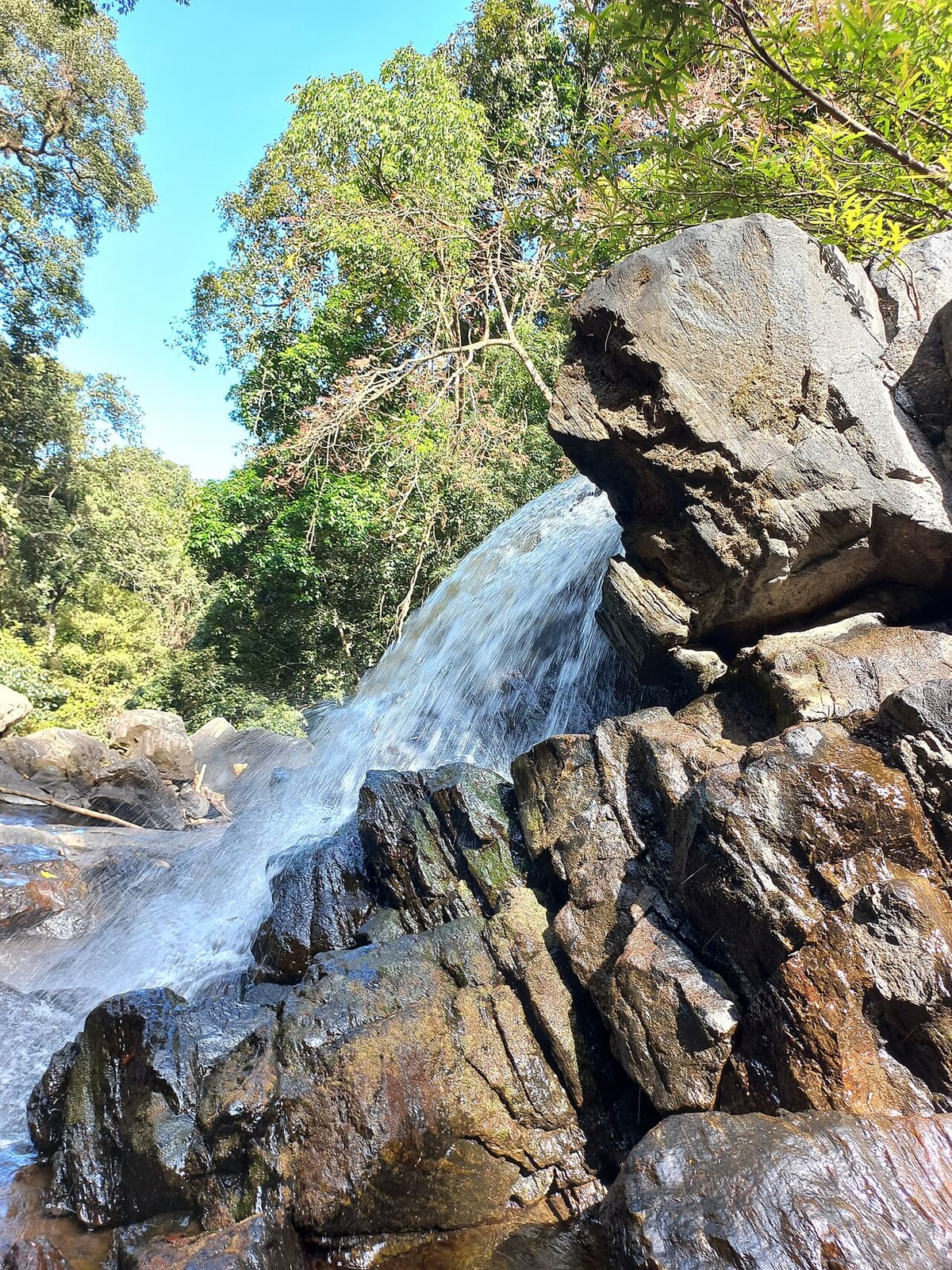 Take a Dip under the Iruppu Falls