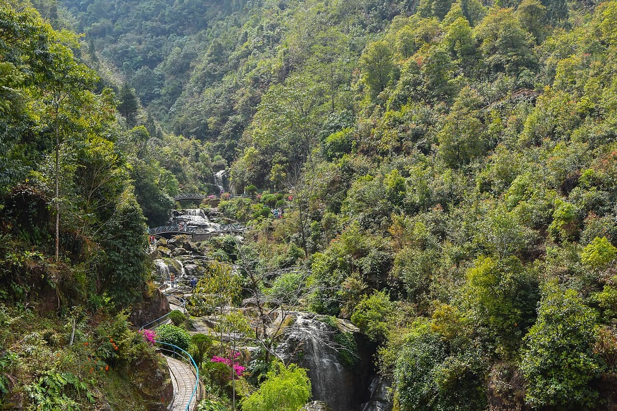 Rock Garden