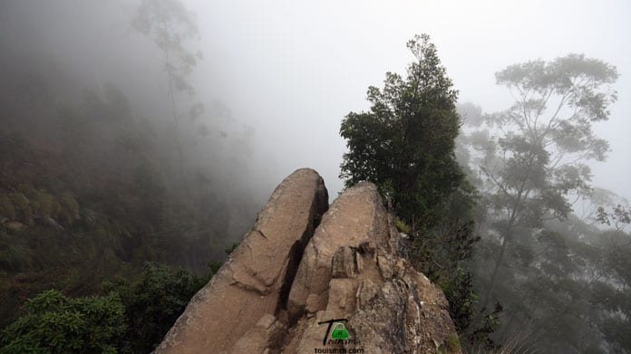 Dolphin's Nose
