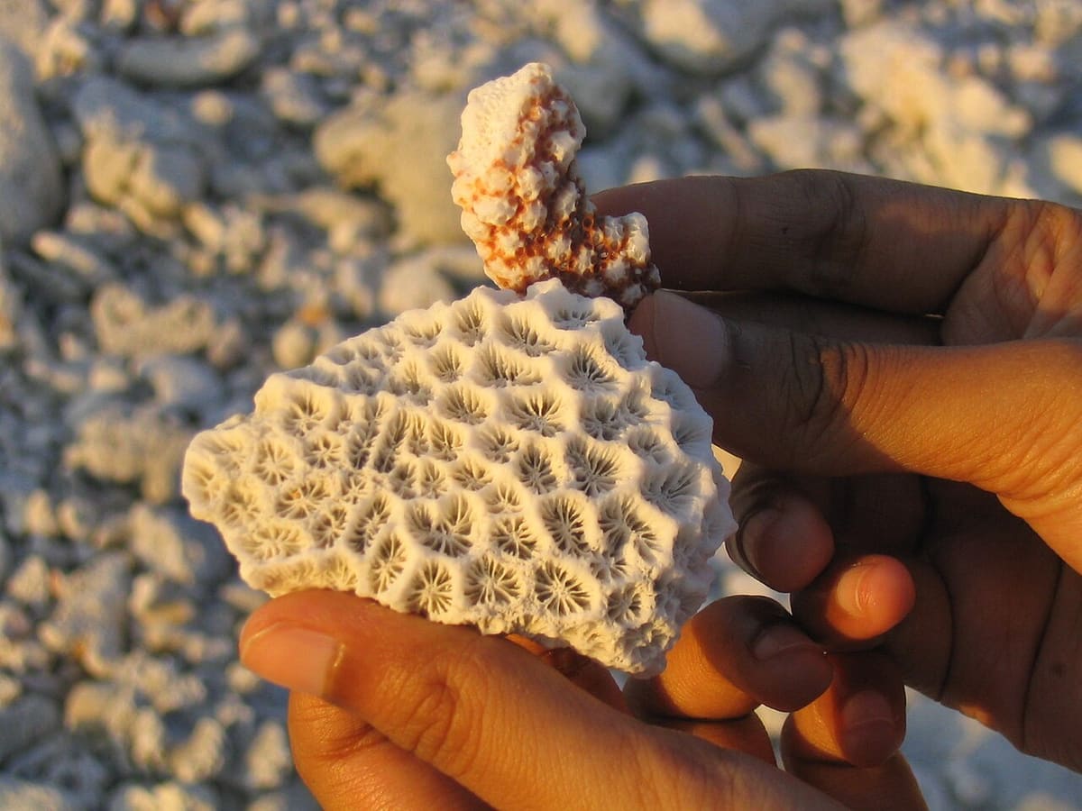 Kavaratti Islands