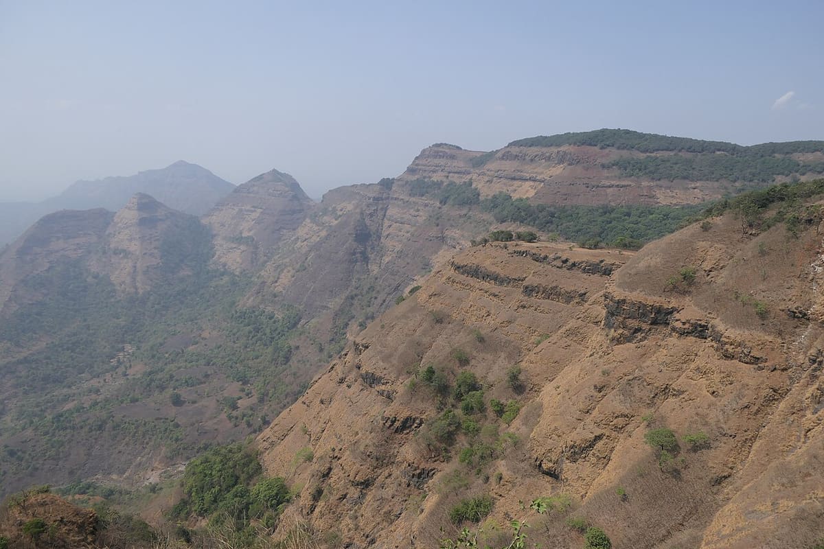 Monkey point