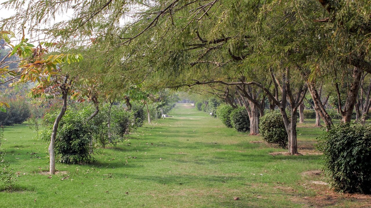 Mehtab Bagh
