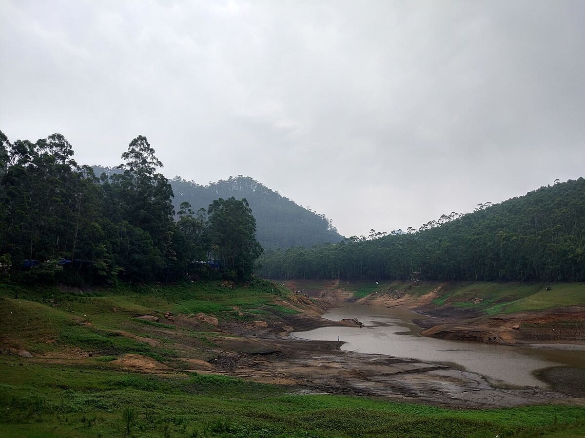 Spa & Massages in Munnar