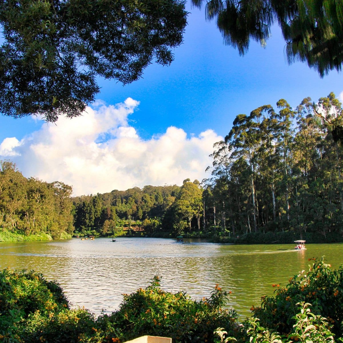 Ooty Lake