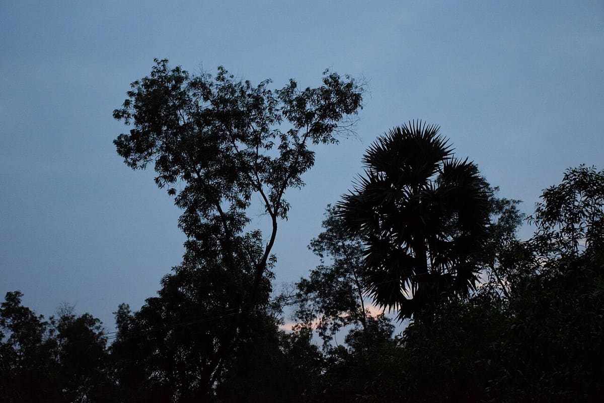 Auroville