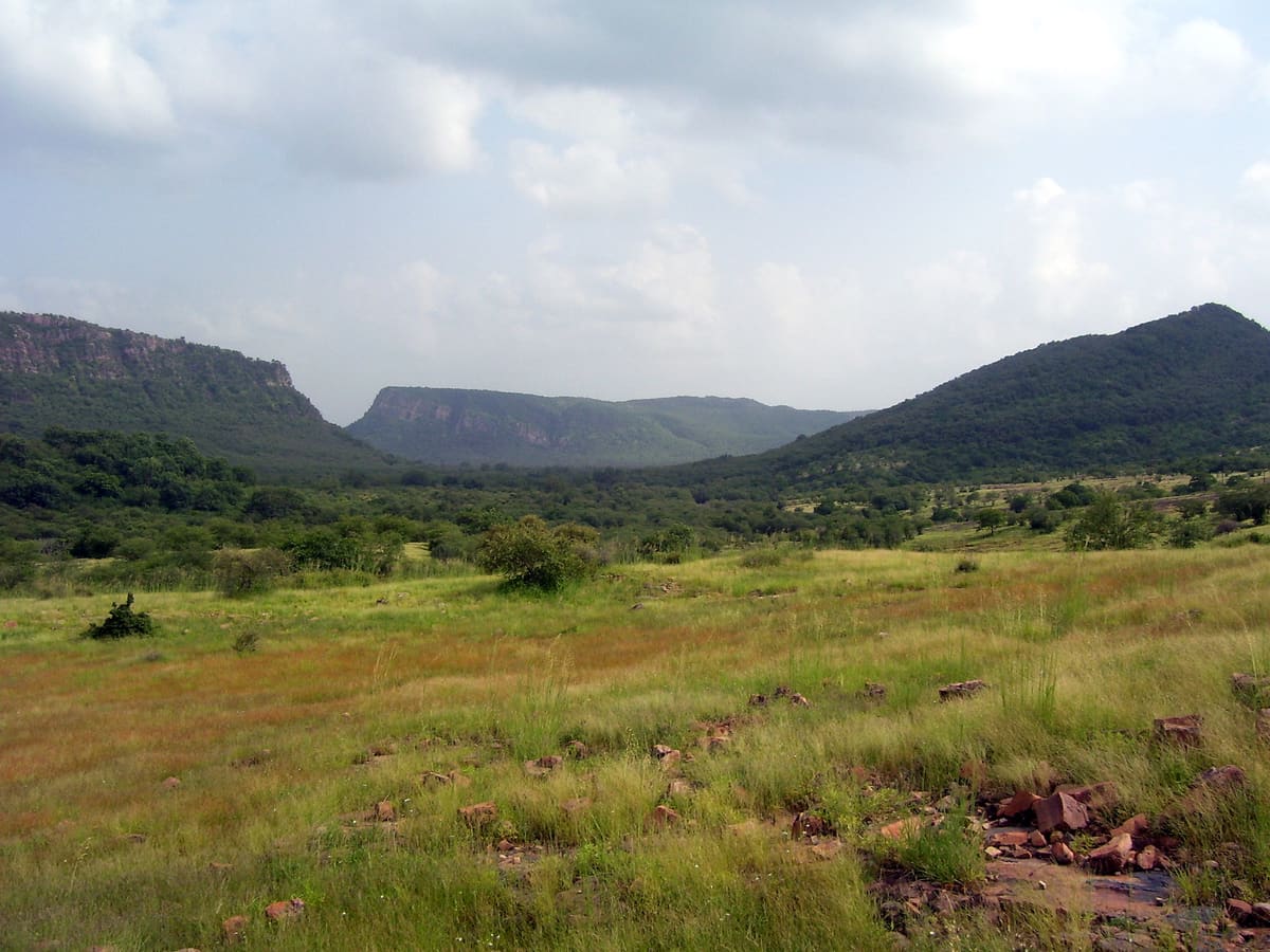 Ranthambore Tiger Reserve