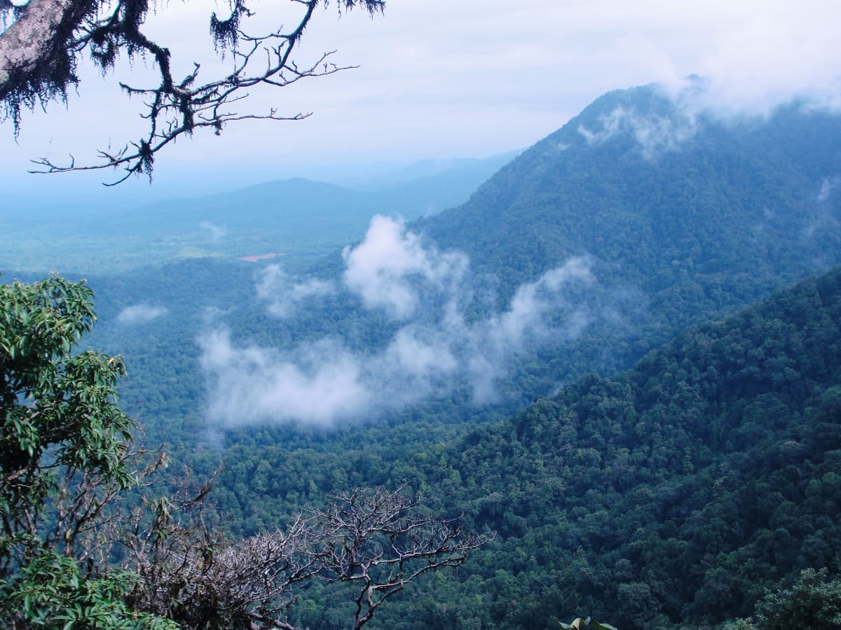 Agumbe