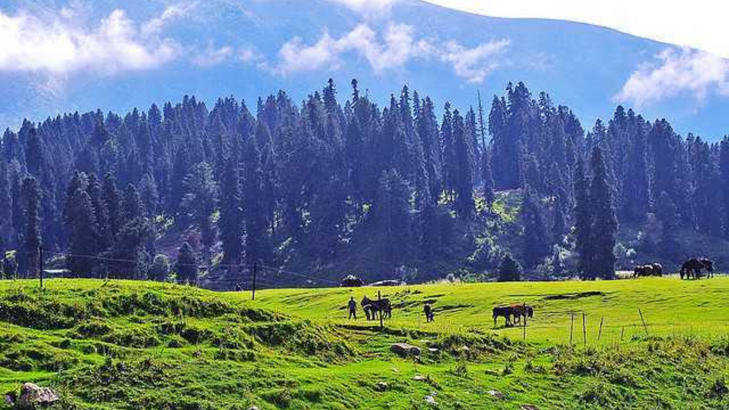 Tangmarg