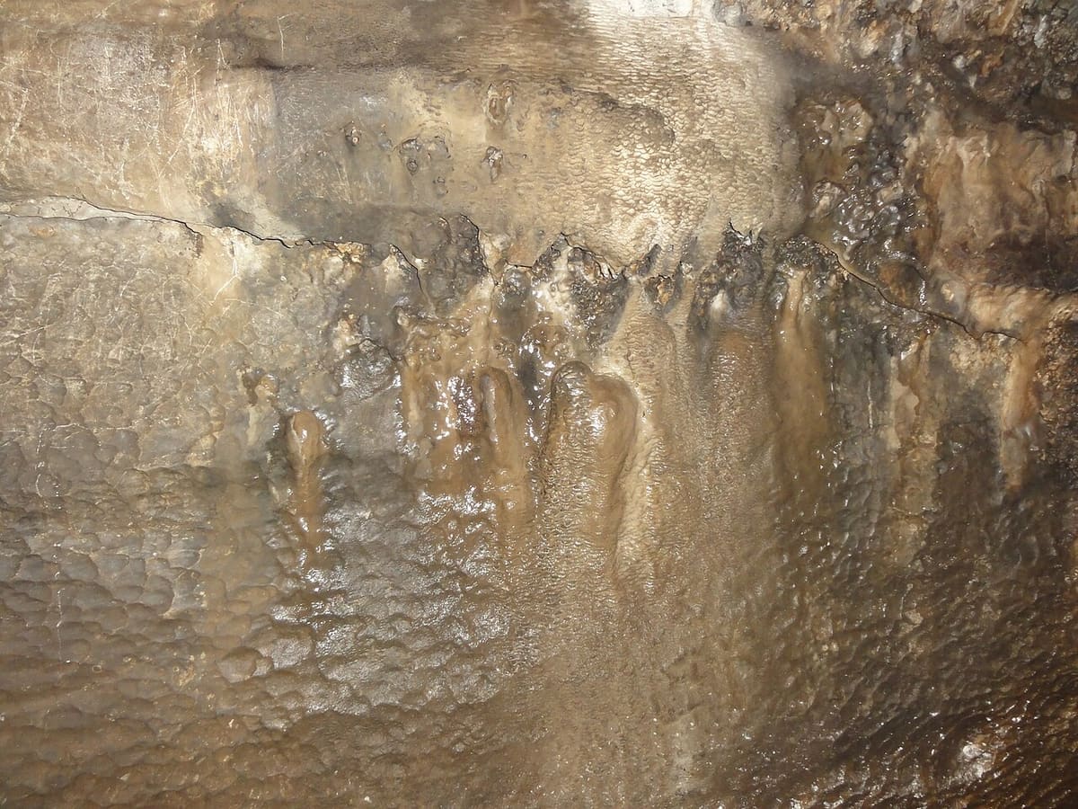 Borra caves