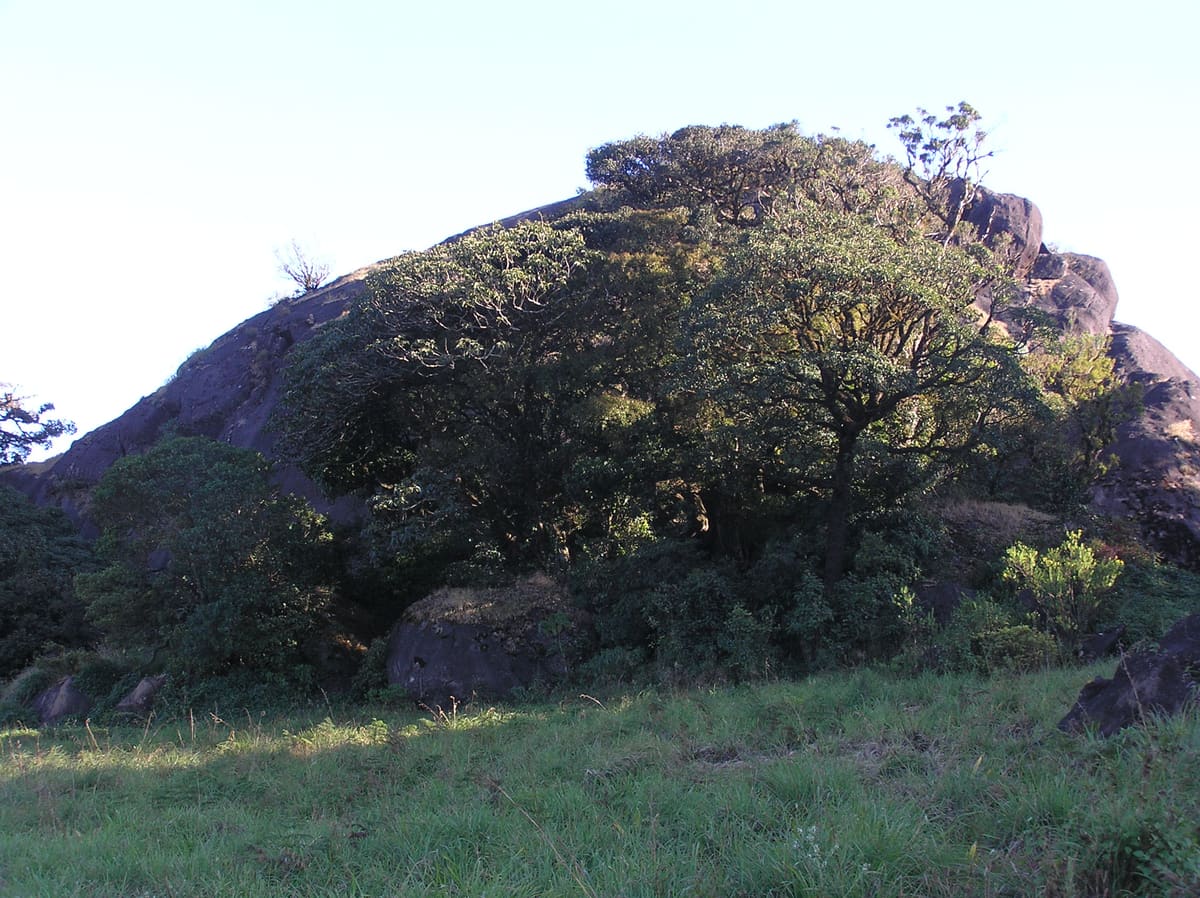 Pakshipathalam Bird Sanctuary