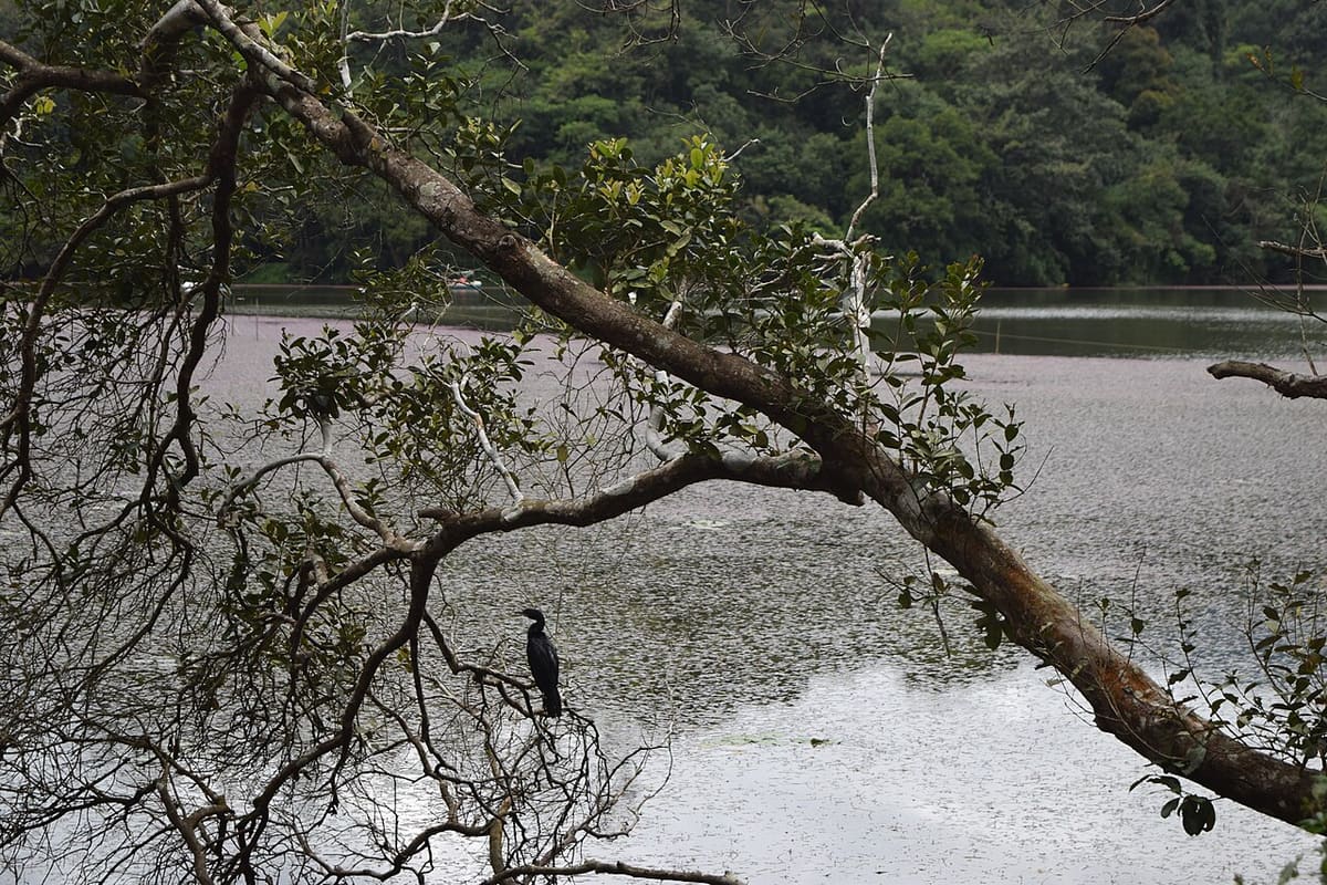 Pookot Lake