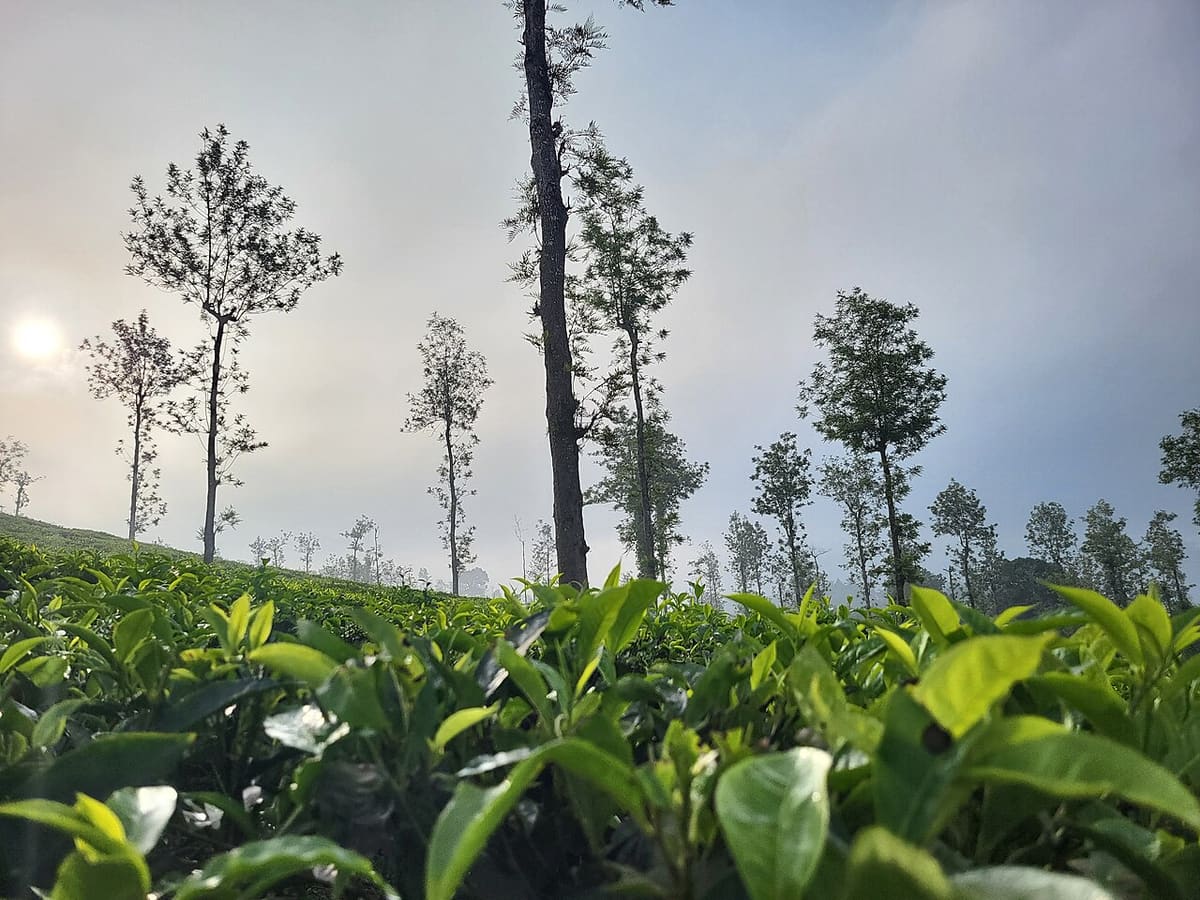 Vythiri